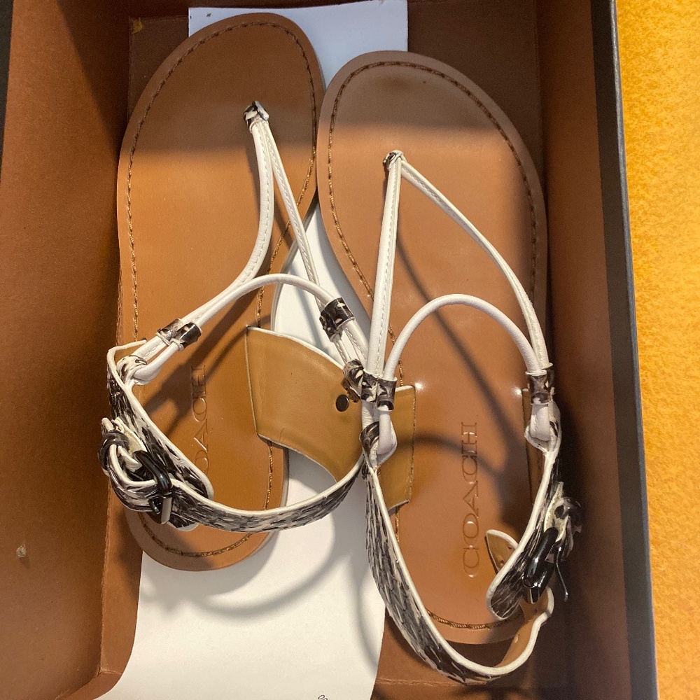 Woman coach sandals
